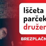 Svingerji_2024__700x250